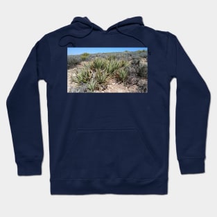 Desert Plant Hoodie